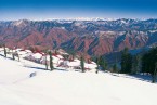 Shimla - Kufri - Shimla
