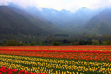 Amritsar to Srinagar Taxi Rental service